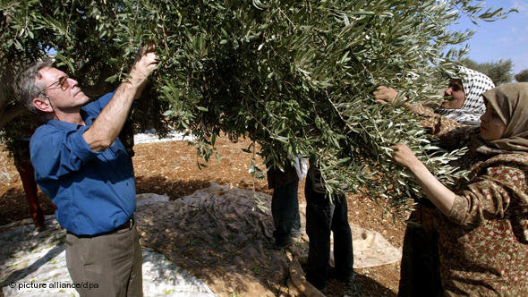 Der israelische Autor Amos Oz (l) pflückt am 30.10.2002 im Dorf Akrabe (Westjordanland) gemeinsam mit palästinensischen Frauen Oliven; Foto: picture-alliance/dpa
