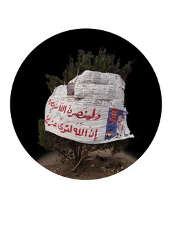 Mohamed Abouelnaga four trees in Tahrir Square (image: Qalandiya International)