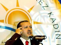 Erdogan in front of an AKP banner (photo: AP)