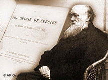 Symbolbild Darwin; Foto: AP