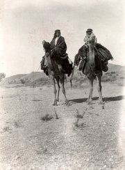 Historische Fotografie von Muhammad Asad auf einer Wüstenreise mit dem Kamel