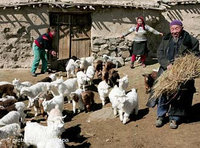 فلاحون من الأقلية الويغورية، الصورة: د.ب.ا