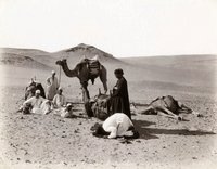 لوحات تسجل طبيعة الحياة البدوية العربية 