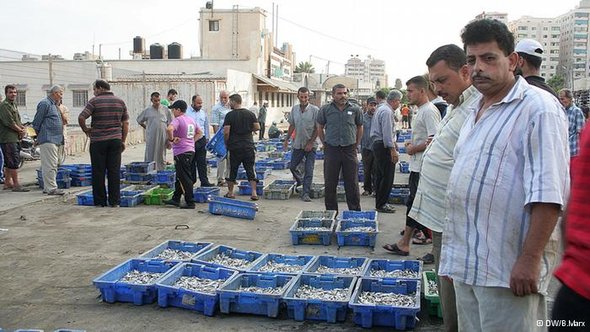 Fischmarkt von Gaza, Foto: DW/Bettina Marx