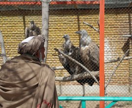 Tête-à-tête mit den Geiern: ein paschtunischer Zoobesucher; Foto: Marian Brehmer