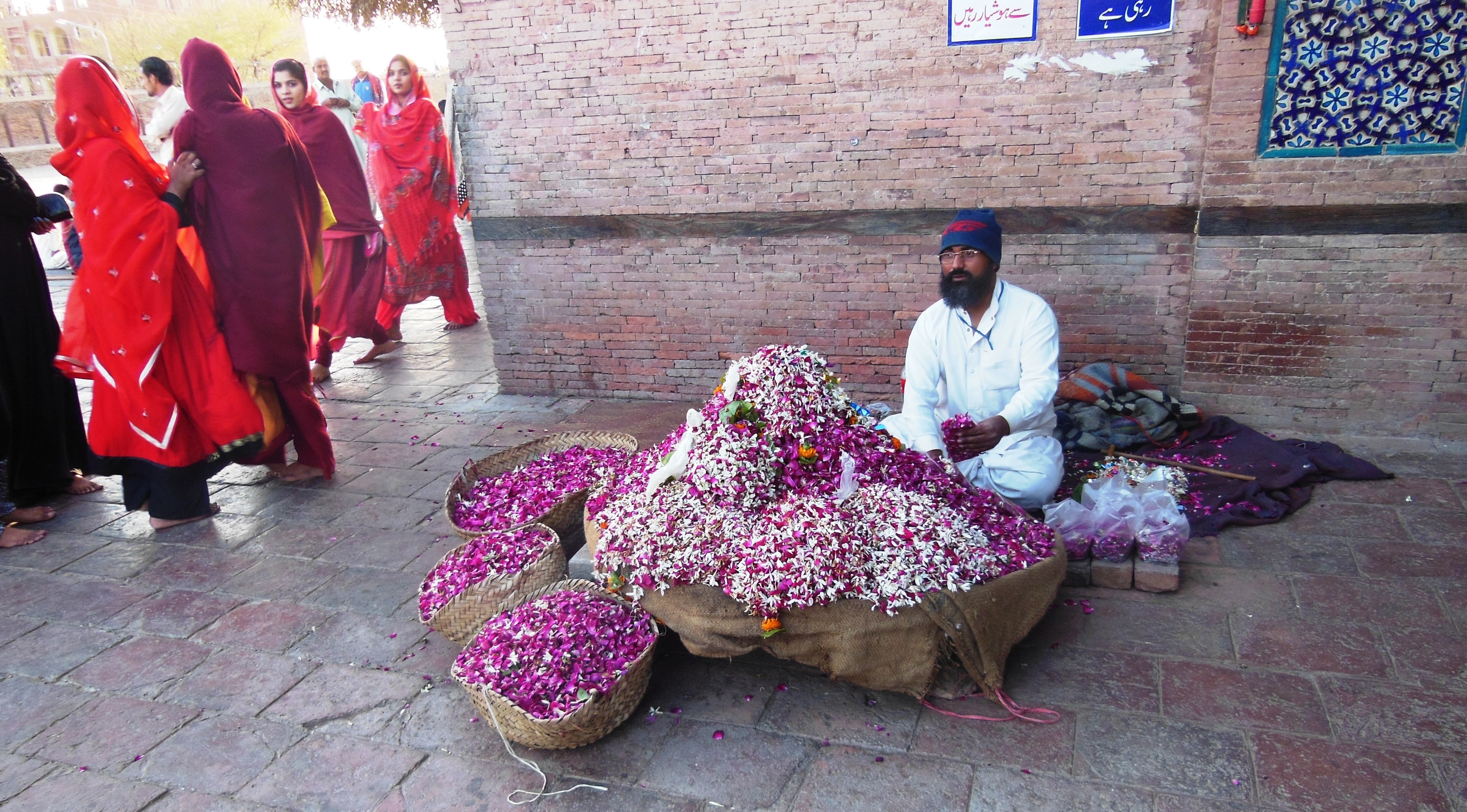 Rosenblütenblätter am Schrein des Heiligen Hazrat Bahauddin Zakaria, Multan, Punjab, Pakistan. Foto: Julis Koch