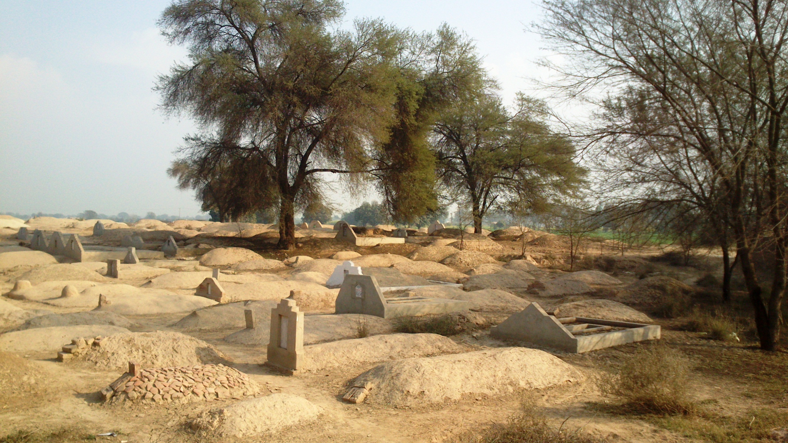 Grablandschaft, Bahawalpur, Punjab, Pakistan. Foto: Julis Koch