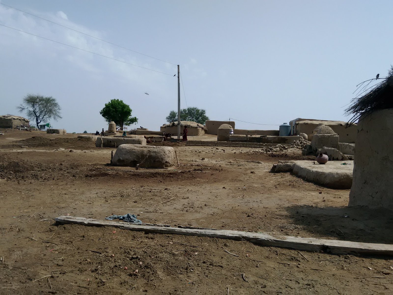Lehmhäuser in der Wüste Cholistans. Foto: Usman Mahar