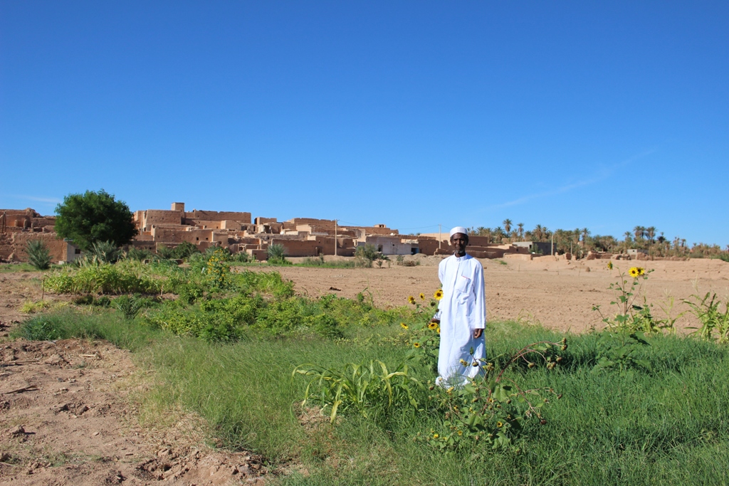 الصورة من تصوير وصال الشيخ وتعود لمنطقة طاطا وناسها في المغرب
