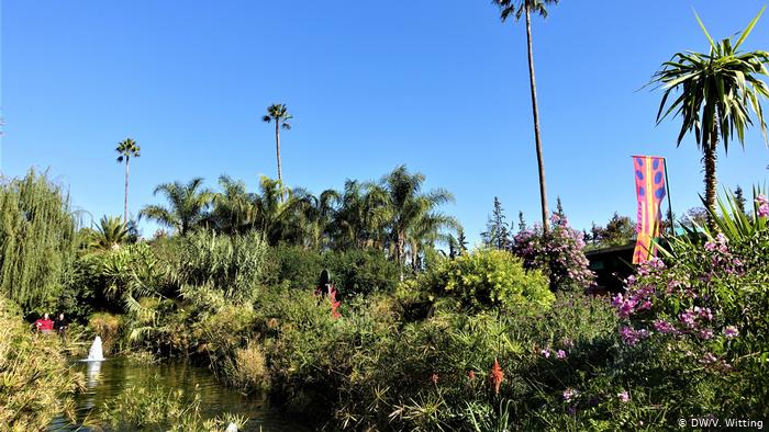 Morocco -ANIMA Garden. Water feature surrounded by tropical trees and shrubs (photo: DW/V. Witting)