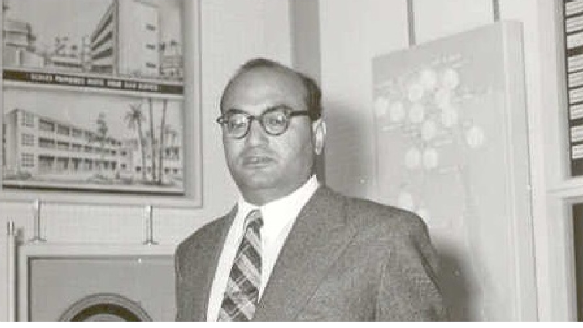 الفيلسوف المصري عبد الرحمن بدوي 2017 - 2002