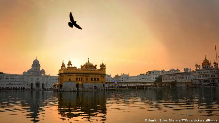 Der goldfarbene Tempel steht eingerahmt von anderen Gebäuden am Wasser im Sonnenuntergang. Seine Silhouette spiegelt sich darin und darüber fliegt ein Vogel.