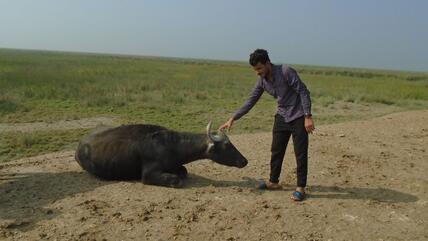 Hussam Qais Taha mit einem Wasserbüffel