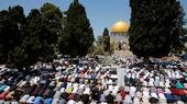 A large crowd of Muslims prays between the trees on the plaza in front of the Al-Aqsa Mosque during Ramadan