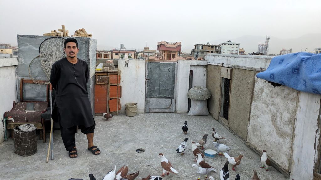 Wasey and his pigeons, Kabul, Afghanistan