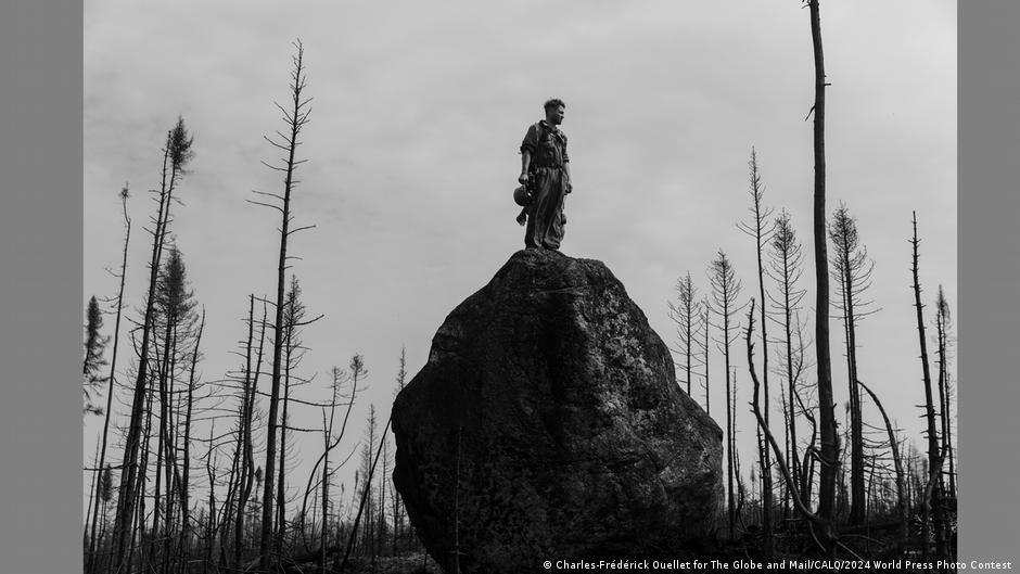 A man stands on a rock amidst burnt trees and looks off into the distance