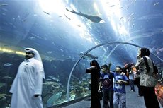 A shopping centre in Dubai with an aquarium (photo: AP)