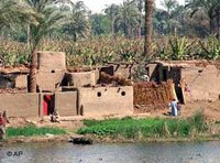 The Nile (photo: AP)