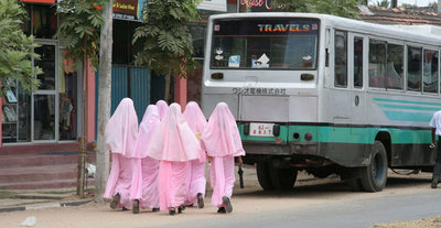 Students from a government Muslim women's teacher training college (photo: Dennis McGilvray)