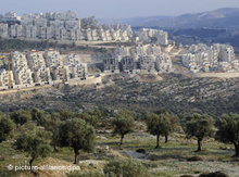Israelische Siedlungen; Foto: dpa