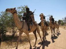Milizen der Dschandschawid; Foto: Auswärtiges Amt