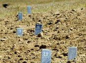 anonyme Gräber bei Andischan; Foto: AP