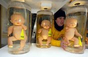Greenpeace-Protest gegen das Klonen, Foto: AP