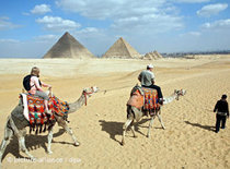 Touristen auf Kamelen, im Hintergrund die Pyramiden von Giseh; Foto: dpa