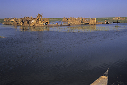 The Restoration of the Iraqi Marshlands