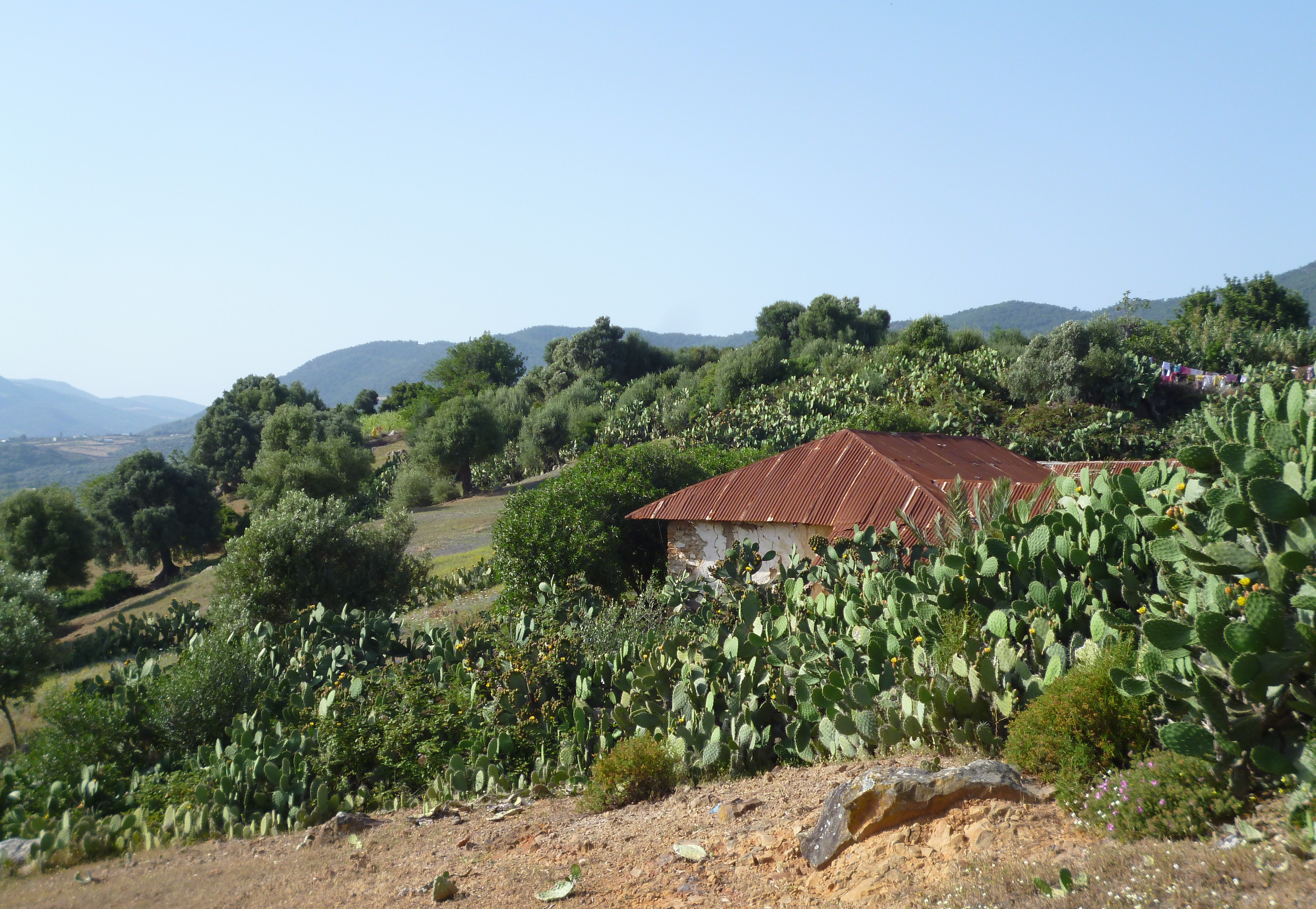 Blick auf das Dorf Joujouka; Foto: Arian Fariborz