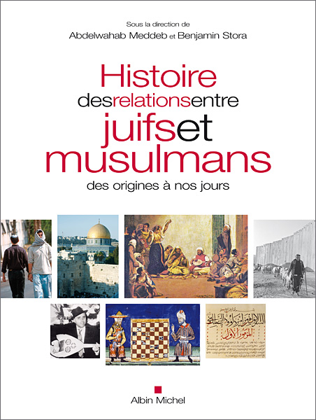 Buchcover "Histoire des relations entre juifs et musulmans des origines à nos jours"