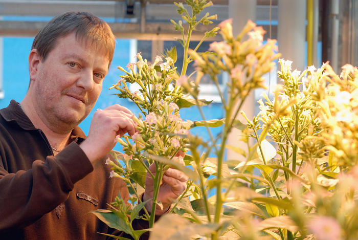 Prof. Dr. Jörg Kudla, Leiter des trinationalen Pflanzenforschungsprojekts; Foto: WWU/Peter Grewer