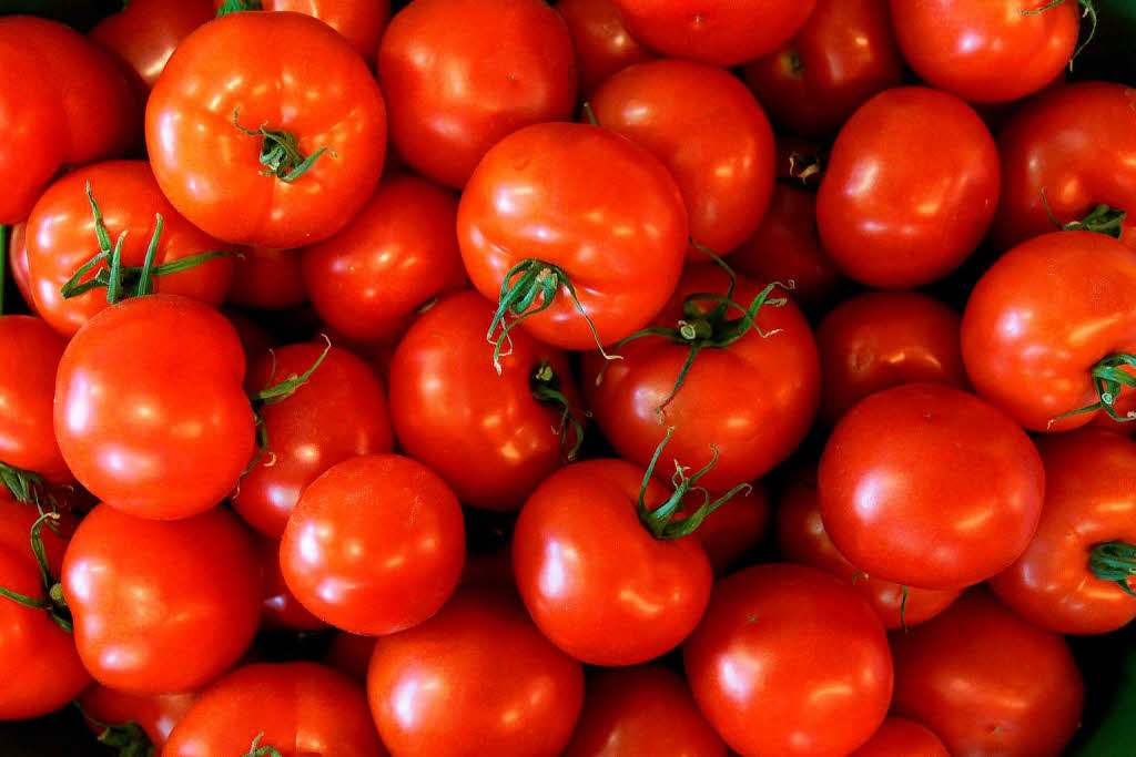 Tomaten; Foto: dpa