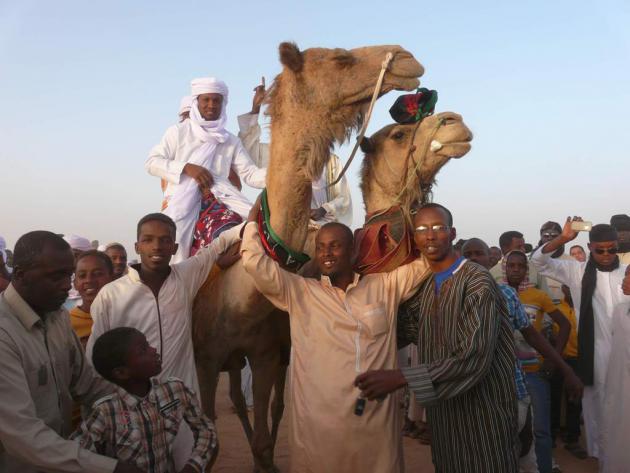 Tebu and camels, Murzug, southern Libya, April 2013 (photo: Valerie Stocker)