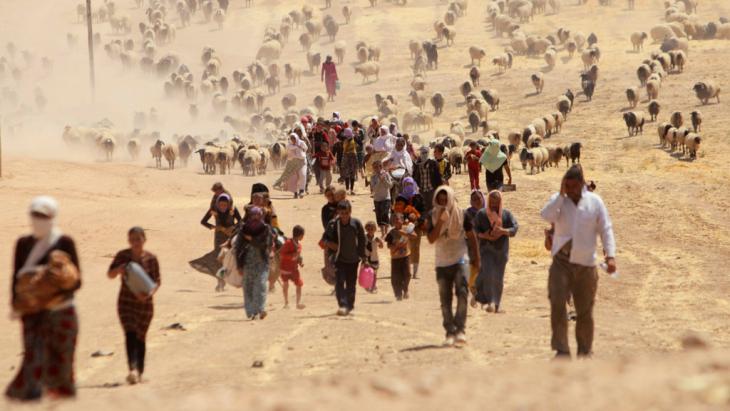 Yazidis fleeing Sinjar in 2014 (photo: Reuters)