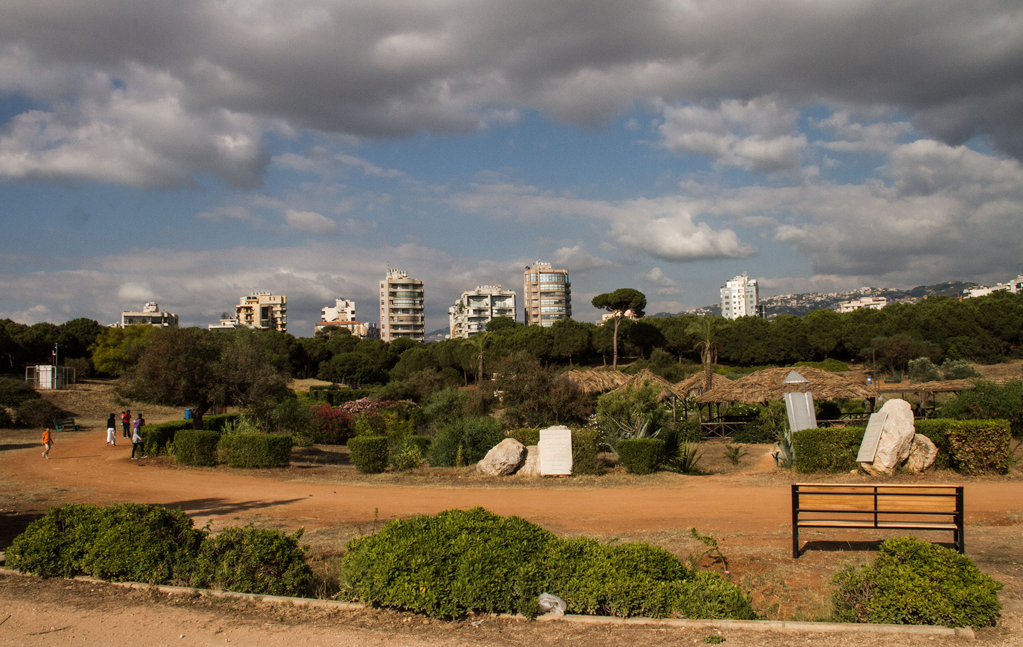 View of Horsh Beirut (photo: Changiz M. Varzi)