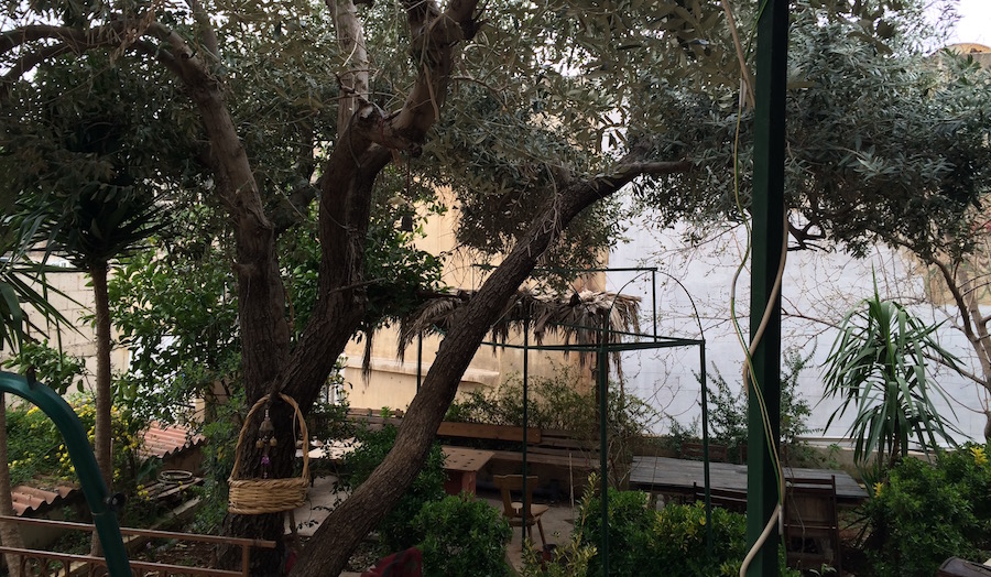 Blick auf den Innenhof des Cafés "Naqsh" in Amman; Foto: Hakim Khatib/MPC Journal
