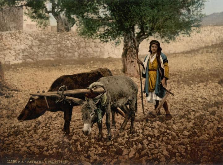 A Palestinian herdsman at the end of the nineteenth century