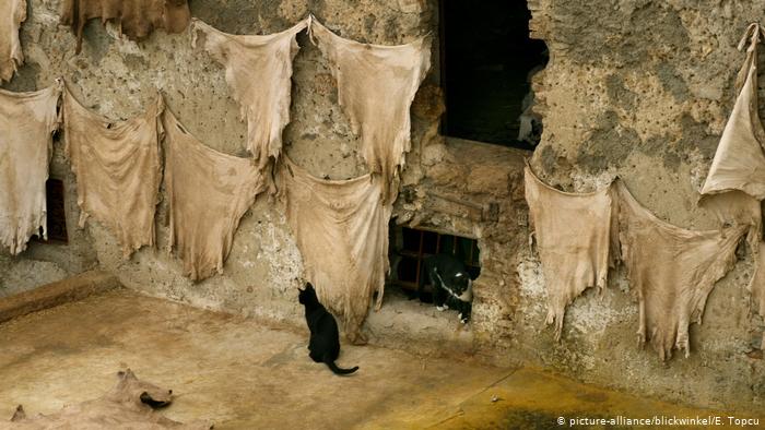 Chouara tannery in the heart of Fez (photo: picture-alliance/blickwinkel/E. Topcu)