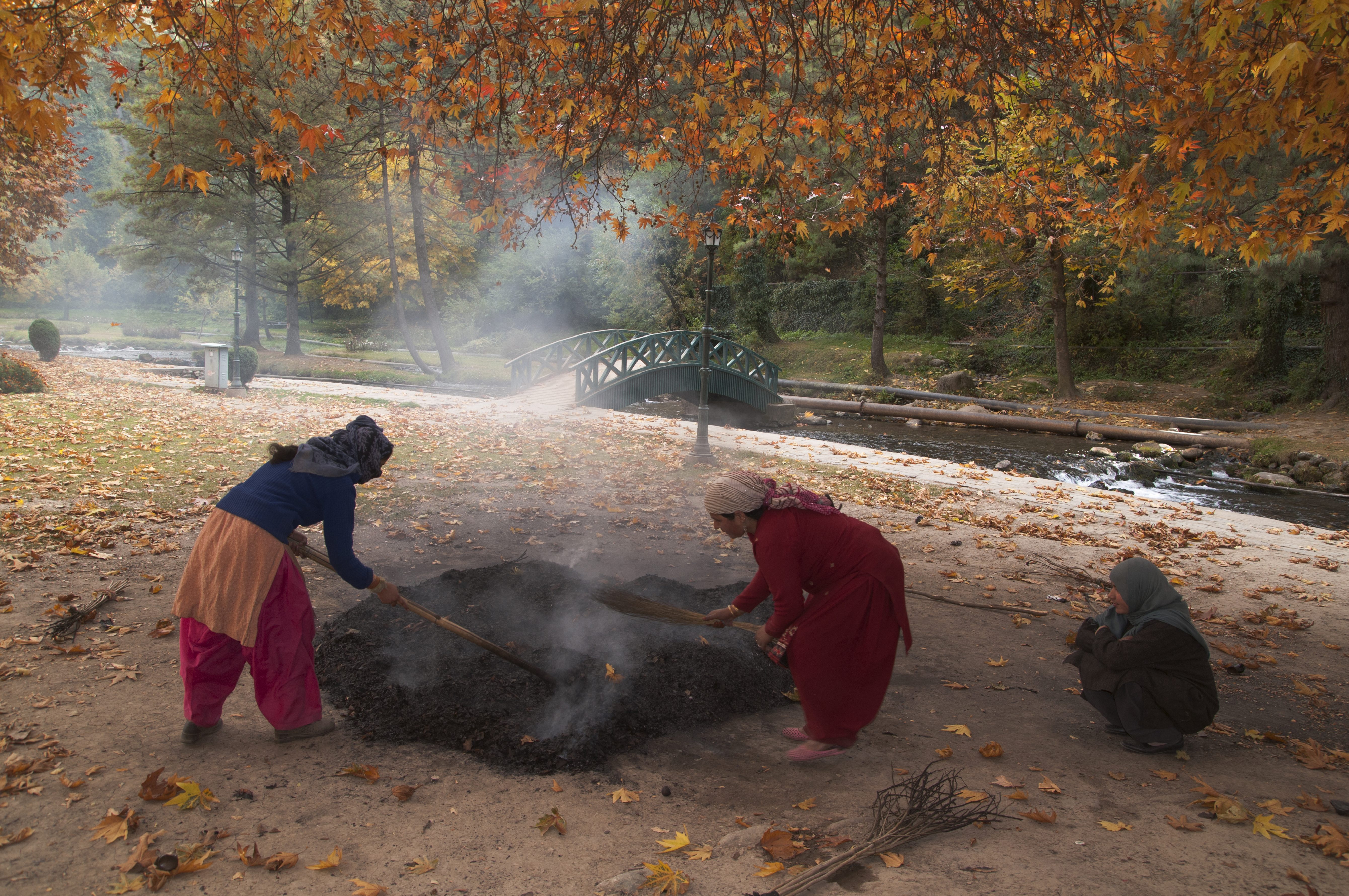 Village women in Kashmir collecting dry chinar leaves (photo: Sugato Mukherjee)