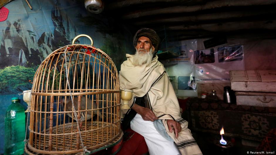 Mohammad Jan, 67, sitzt neben einem Käfig mit Rebhühnern in einem Geschäft auf dem Vogelmarkt Ka Faroshi in Kabul, Afghanistan. Foto: REUTERS/Mohammad Ismail