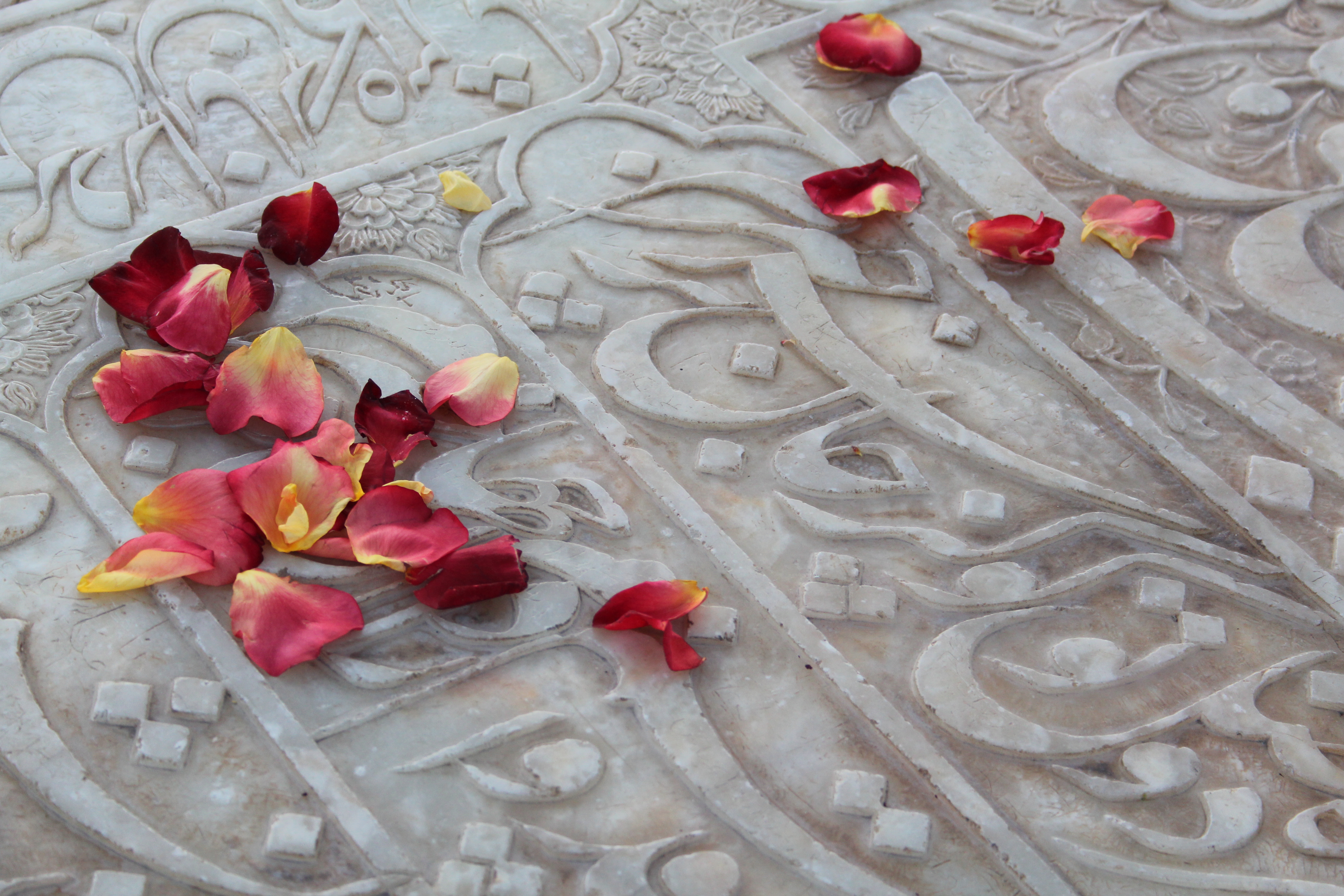 القبر الرخامي للشاعر حافظ وأوراق ورد أحمر نثرها عليه أحد الزوار – إيران.