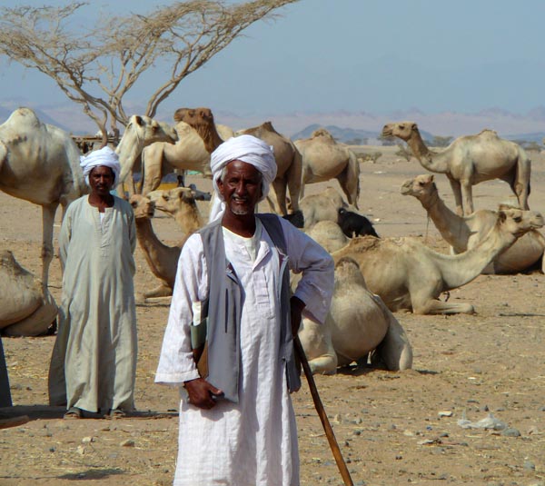 قبائل شرق السودان - تشكل قبائل البجا نحو 10% من سكان السودان -البالغ عددهم 45 مليونا وفق إحصاء عام 2008: وتنقسم إلى مجموعتين بحسب اللغة: البداويت والتقراية.  Bedscha Beduine Sudan Eritrea Aegypten FOTO WIKIMEDIA