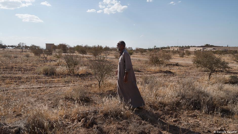 Olivenbauer Ahmad Mahmoud Alahri hat rund 3.000 Bäume wegen der Dürre in diesem Jahr verloren (Foto: Daniela Sala/DW) 