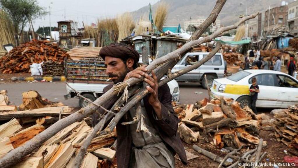 Jemen - Abholzung der Wälder; Foto: Khaled Abdullah/REUTERS