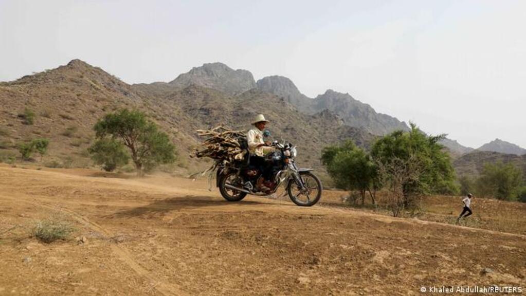 Jemen - Abholzung der Wälder. Ein Mann transportiert Holz auf dem Motorrad; Foto: Khaled Abdullah/REUTERS
