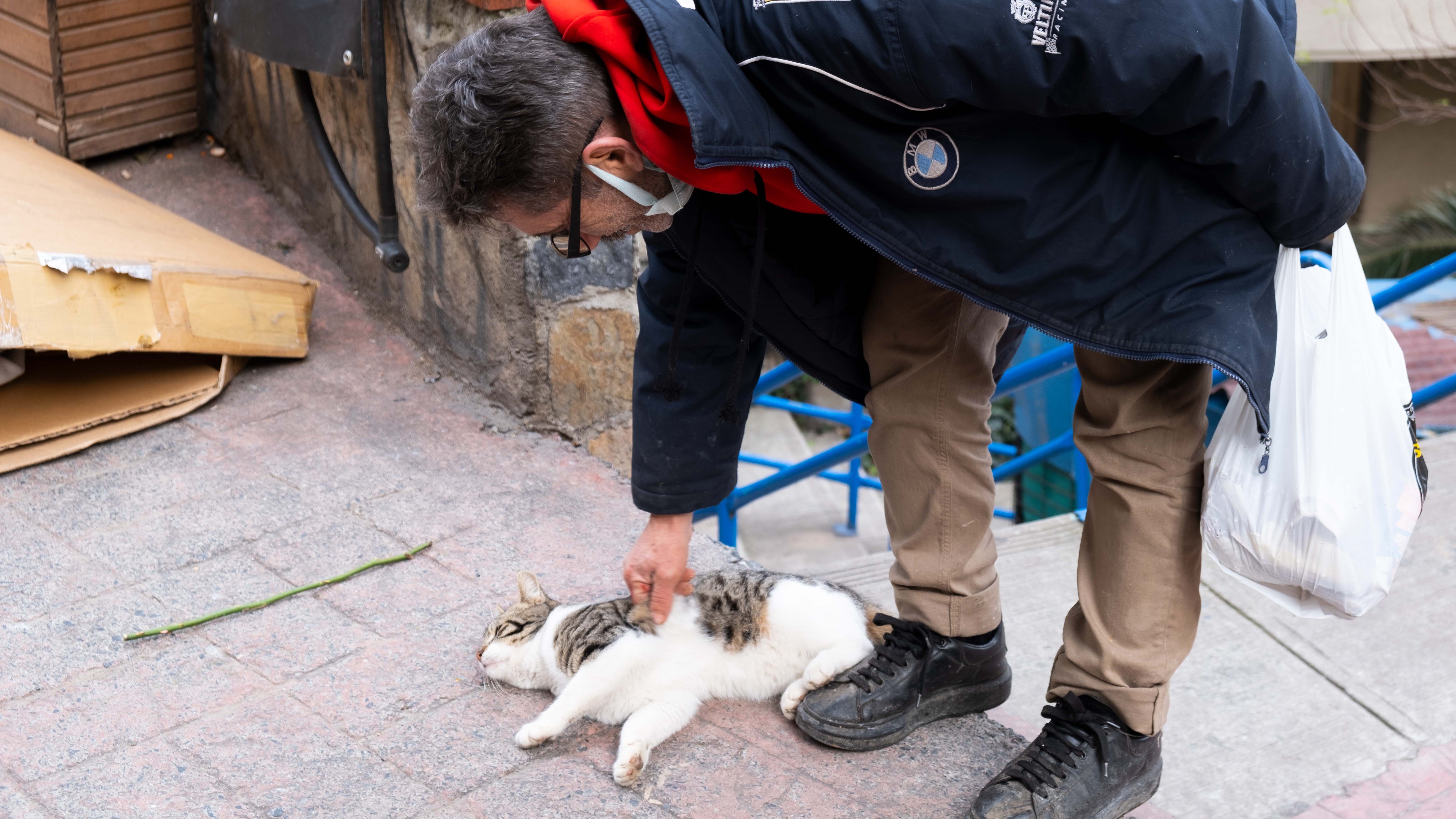 رجل يربت على قطة ضالة في أحد شوارع إسطنبول. Man strokes a stray cat on an Istanbul street (photo: Volkan Kisa)