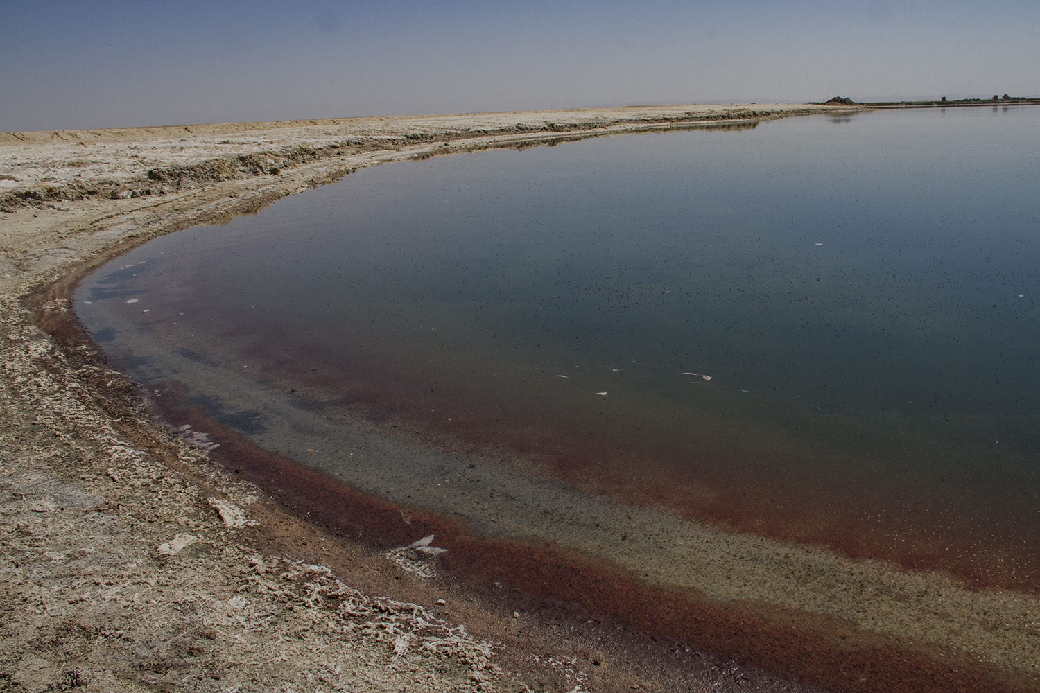 Die Uferlinie des Sees zeigt einen rötlichen Streifen (Foto: Qantara)
