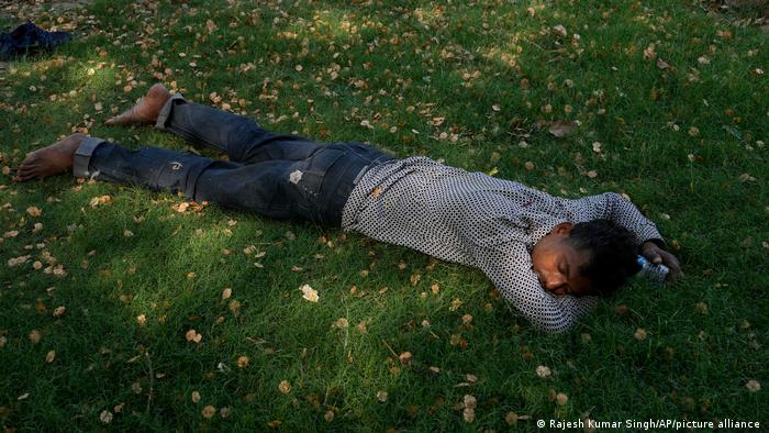 Man rests under tree in Uttar Pradesh, India (photo: AP/picture-alliance)