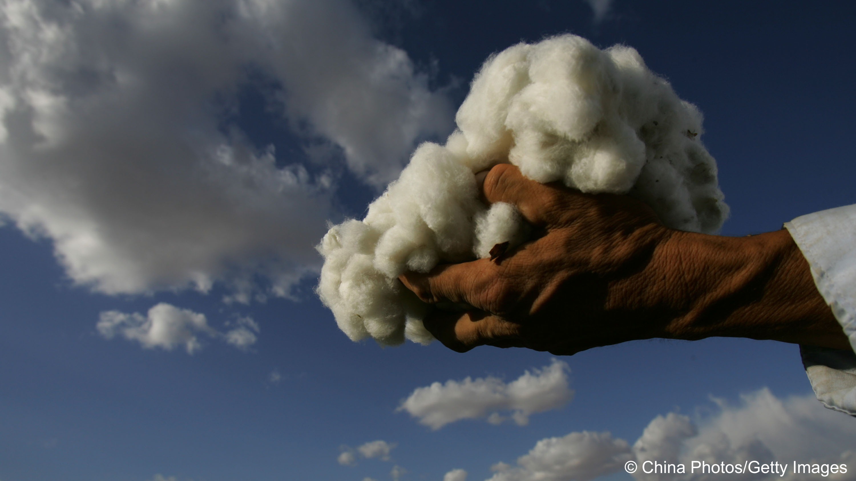 Over the past 10 years, cotton production has almost halved in Pakistan, from 13.6 million bales in 2011/12 to about 7 million in 2020/21.
